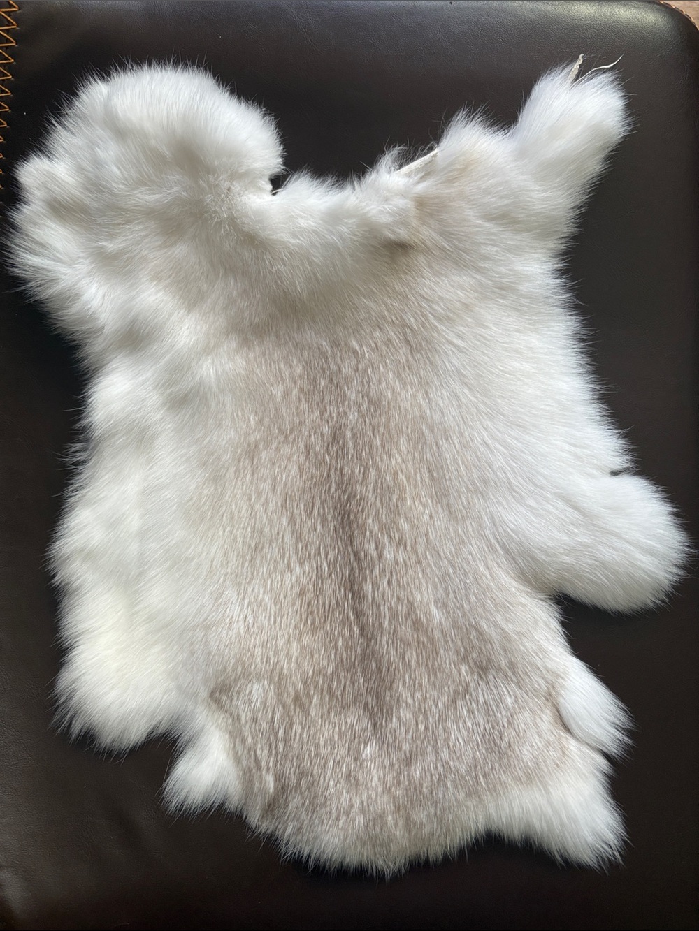 B0030 rabbit pelt decor crafts - Picture 1 of 3